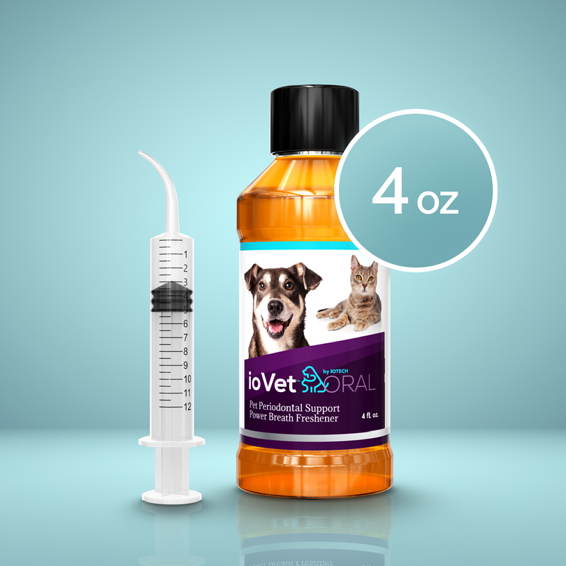 ioVet™Oral Pet Water Additive - 4 oz bottle and a dispensing syringe