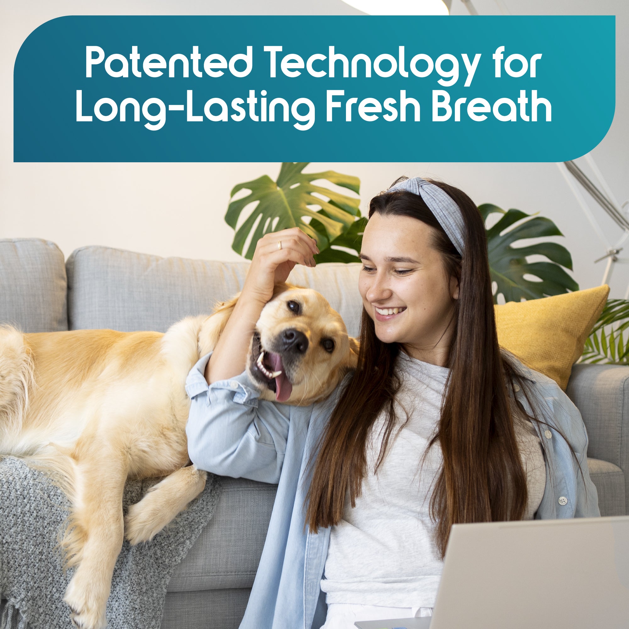 ioVet™ Oral - 4 oz bottle and a dispensing syringe