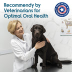 ioVet™ Oral - 4 oz bottle and a dispensing syringe