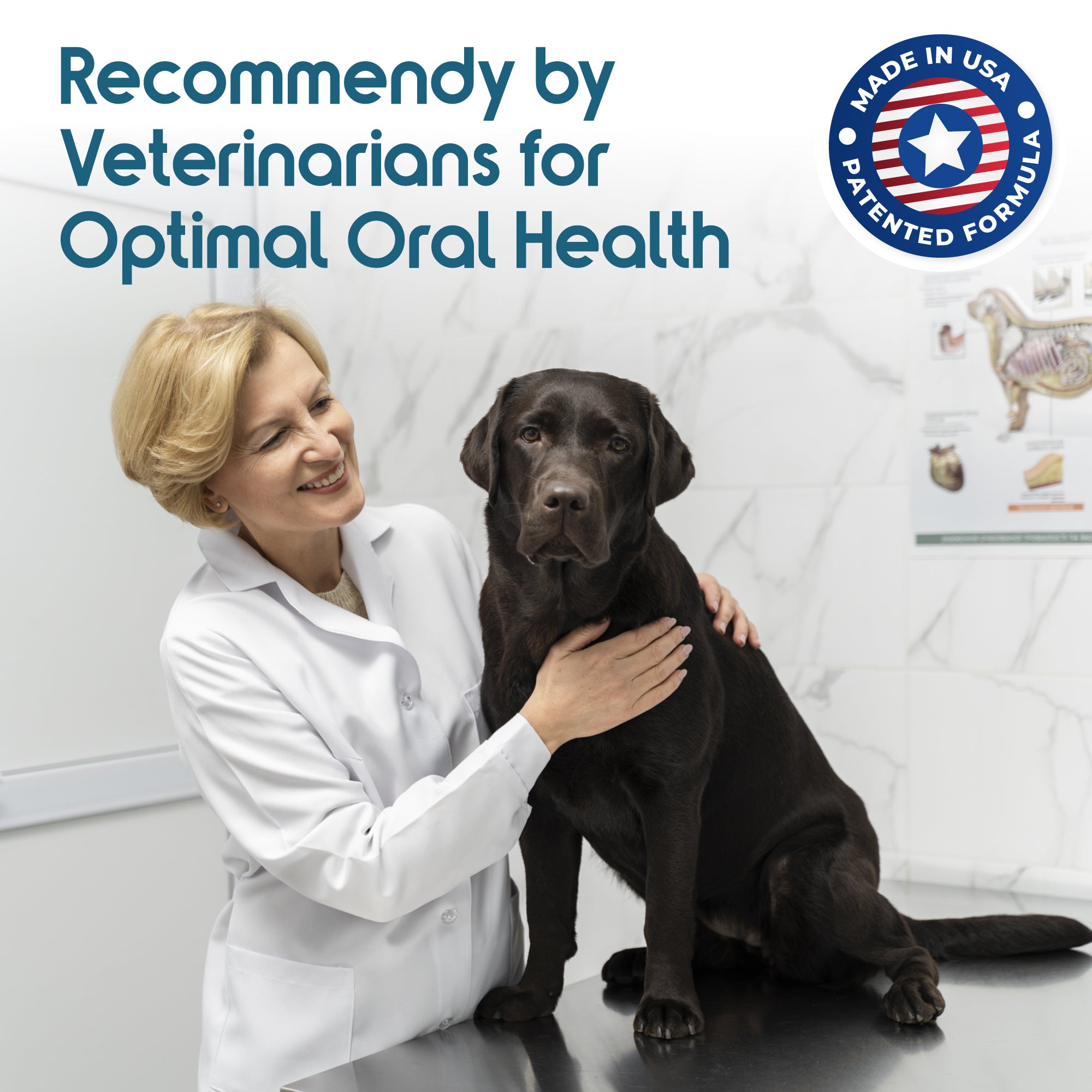 ioVet™ Oral - 4 oz bottle and a dispensing syringe