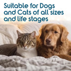 ioVet™ Oral - 4 oz bottle and a dispensing syringe