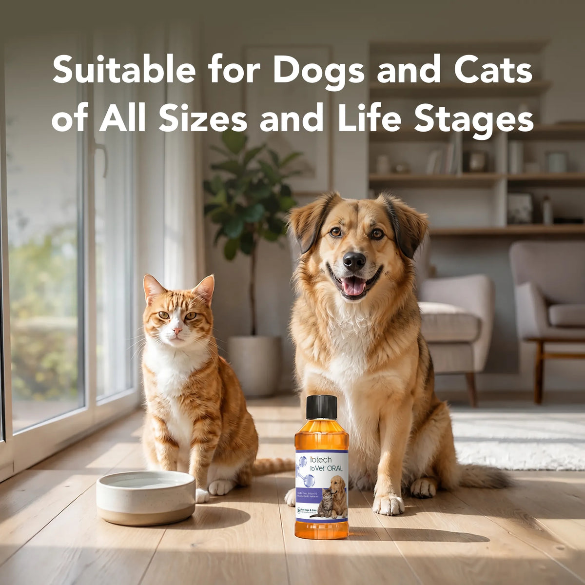 ioVet™Oral Pet Water Additive - 4 oz bottle and a dispensing syringe