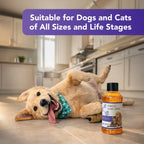 ioVet™Oral Pet Water Additive - 4 oz bottle and a dispensing syringe