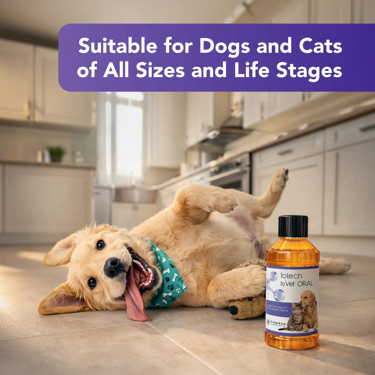 ioVet™Oral Pet Water Additive - 4 oz bottle and a dispensing syringe